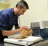 Seaford Vet Care - Gold Coast Vets
