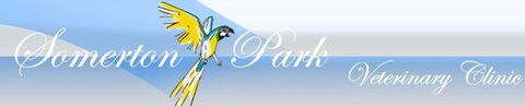 Somerton Park Veterinary Clinic - Gold Coast Vets 0