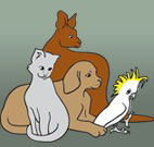 Southcoast Animal Hospital - Gold Coast Vets