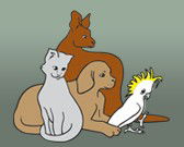 Book Port Noarlunga Accommodation Vacations Gold Coast Vets Gold Coast Vets