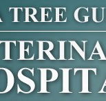 Tea Tree Gully Veterinary Hospital - Gold Coast Vets