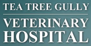 Tea Tree Gully Veterinary Hospital - Gold Coast Vets 0