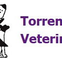 Torrens Road Veterinary Clinic - Gold Coast Vets