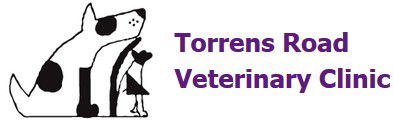 Torrens Road Veterinary Clinic - Gold Coast Vets 0