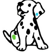Four Paws Vets - Unley Vet Surgery - Gold Coast Vets