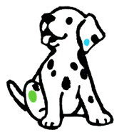 Four Paws Vets - Unley Vet Surgery - Gold Coast Vets 0