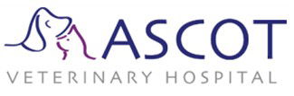 Ascot Veterinary Hospital - Gold Coast Vets 0