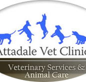 Attadale Vet - Gold Coast Vets