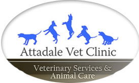 Attadale Vet - Gold Coast Vets 0