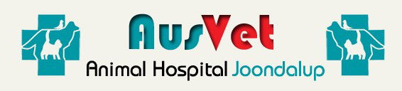 Neerabup WA Gold Coast Vets