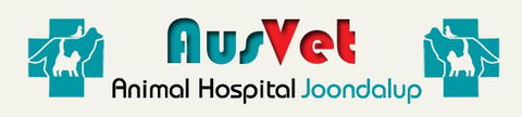 AusVet Animal Hospitals - Gold Coast Vets 0