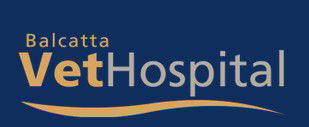 Balcatta Veterinary Hospital - Gold Coast Vets 0