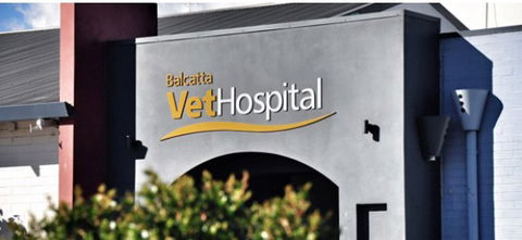 Balcatta Veterinary Hospital - Gold Coast Vets 1