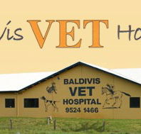 Baldivis Vet Hospital - Gold Coast Vets