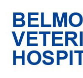 Belmont Avenue Veterinary Hospital - Gold Coast Vets