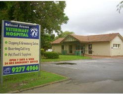 Belmont Avenue Veterinary Hospital - Gold Coast Vets 1