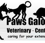 Paws Galore Veterinary Centre - Gold Coast Vets