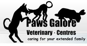 Paws Galore Veterinary Centre - Gold Coast Vets 0