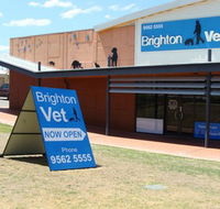 Brighton Vet - Gold Coast Vets