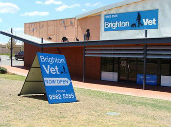 Brighton Vet - Gold Coast Vets 0