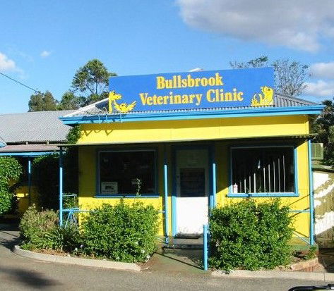  Gold Coast Vets