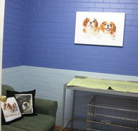 Cavalier Vet Practice - Gold Coast Vets