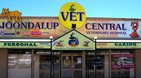 Joondalup Central Vet Hospital - Gold Coast Vets 0