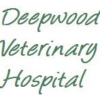 Deep Wood Veterinary Hospital - Gold Coast Vets