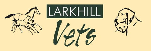 Larkhill Vets - Gold Coast Vets 0