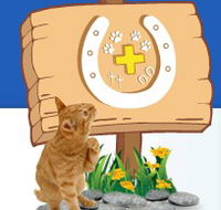 Midland Vet Hospital - Gold Coast Vets