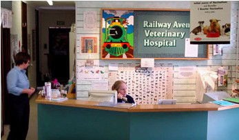 Railway Avenue Veterinary Hospital - Gold Coast Vets 0