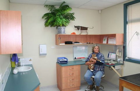 Adelaide Hills Animal Hospital - Gold Coast Vets 0