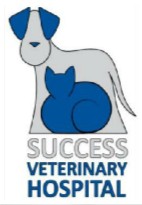 Success Veterinary Hospital - Gold Coast Vets 0