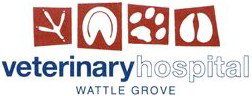 Wattle Grove Veterinary Hospital - Gold Coast Vets 0