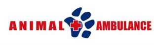 Animal Ambulance - Gold Coast Vets 1