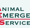 Animal Emergency Service - Gold Coast Vets