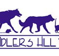 Chandlers Hill Vet - Gold Coast Vets