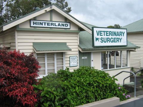 Hinterland Veterinary Surgery - Gold Coast Vets 0