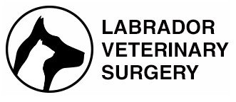 Labrador QLD Gold Coast Vets