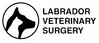Labrador Veterinary Surgery - Gold Coast Vets 0
