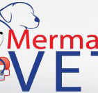 Mermaid Waters Veterinary Surgery - Gold Coast Vets