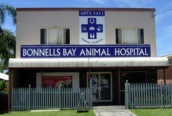 Bonnells Bay Animal Hospital - Gold Coast Vets 0