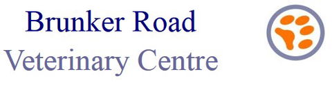 Brunker Road Veterinary Centre - Gold Coast Vets 0