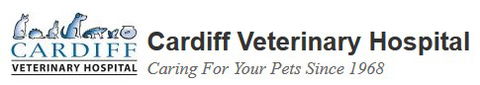 Cardiff Veterinary Hospital - Gold Coast Vets 0