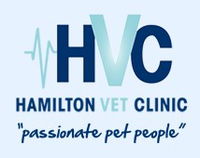 Book Hamilton Accommodation Vacations Gold Coast Vets Gold Coast Vets