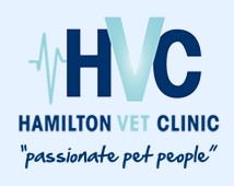 Hamilton Veterinary Clinic - Gold Coast Vets 0