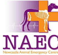 Newcastle Animal Emergency Centre - Gold Coast Vets