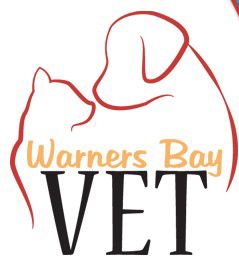 Warners Bay Vet - Gold Coast Vets 0