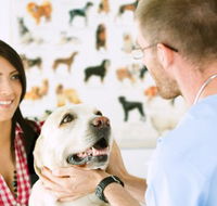 All Creatures Veterinary Centre - Gold Coast Vets