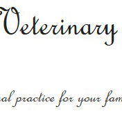 Brudine Veterinary Hospital - Gold Coast Vets